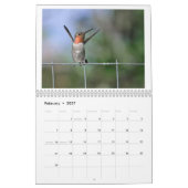 Kalifornien-Hummingvögel 2024-Kalender Kalender (Feb 2027)