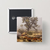 Kalifornien: Joshua-Baum-Nationaldenkmal, Button (Vorne & Hinten)