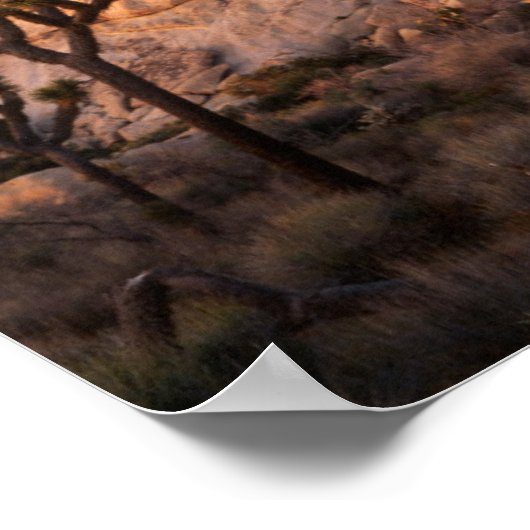 Kalifornien, Joshua Tree National Park, Joshua Poster (Ecke)