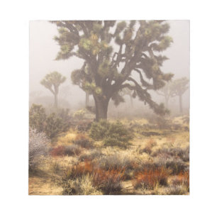 Kalifornien: Joshua-Tree-Nationalmonument, Notizblock