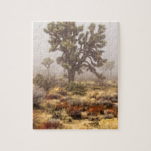 Kalifornien: Joshua-Tree-Nationalmonument, Puzzle