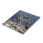 Kalifornien, Joshua-Tree-Nationalpark Fliese (Seite)