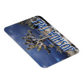 Kalifornien, Joshua-Tree-Nationalpark Magnet (Rechte Seite)