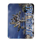 Kalifornien, Joshua-Tree-Nationalpark Magnet (Vertikal)