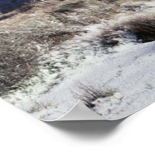 Kalifornien, Joshua-Tree-Nationalpark Poster (Ecke)