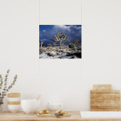 Kalifornien, Joshua-Tree-Nationalpark Poster (Küche)