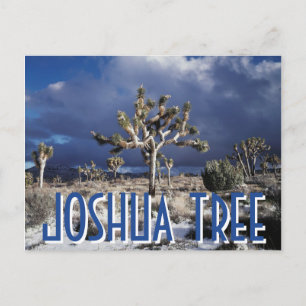 Kalifornien, Joshua-Tree-Nationalpark Postkarte