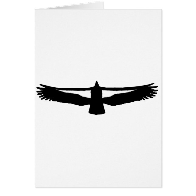 Kalifornien-Kondor (Vorne)