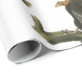 Kalifornien-Kondor durch Audubon Geschenkpapier (Rolleneckpunkt)