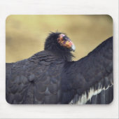 Kalifornien-Kondor Mousepad (Vorne)