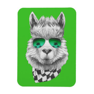 Kalifornien-Lama Magnet