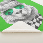 Kalifornien-Lama Sherpadecke (3/4)