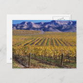 Kalifornien, Landkreis San Luis Obispo, Edna Tal Postkarte (Vorne/Hinten)