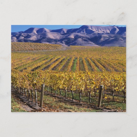 Kalifornien, Landkreis San Luis Obispo, Edna Tal Postkarte (Vorderseite)