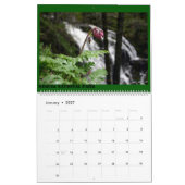 Kalifornien-Landschaft Kalender (Jan 2027)