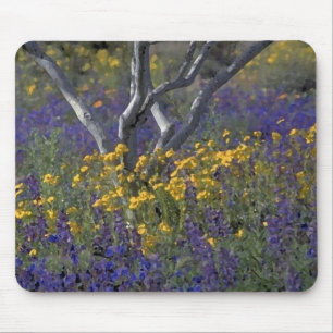 Kalifornien-Lupine & Mohn-Wasserfarben-Mauspad Mousepad