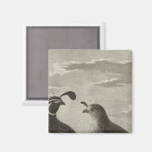 Kalifornien Magnet (Vorderseite/Rückseite)