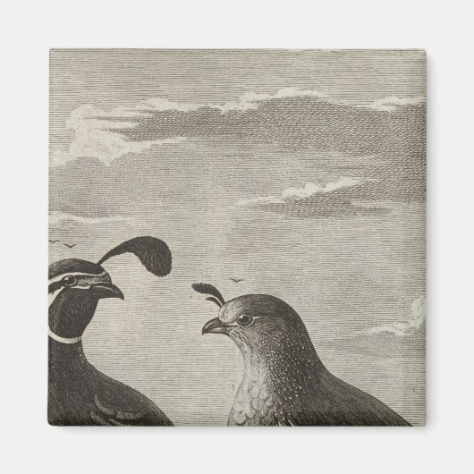 Kalifornien Magnet (Vorne)