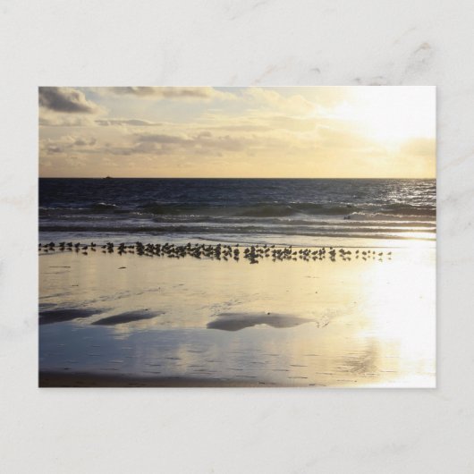 Kalifornien - Manhattan Beach. K Postkarte (Vorderseite)