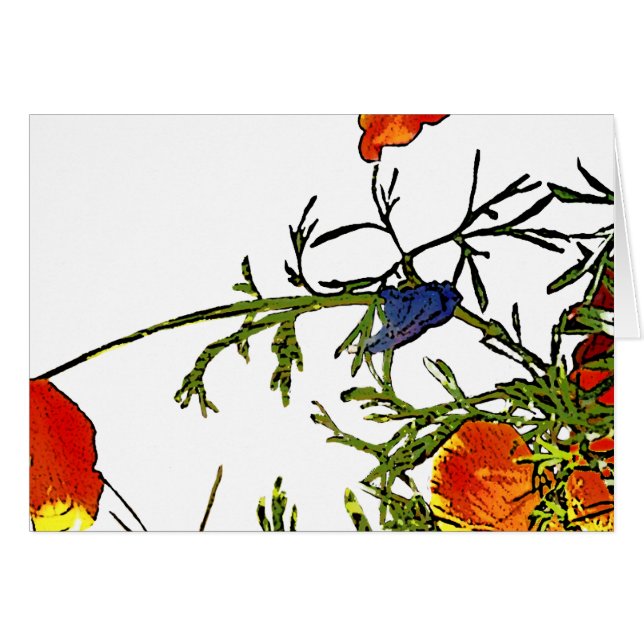 Kalifornien-Mohn abstrakt (Vorderseite (Horizontal))