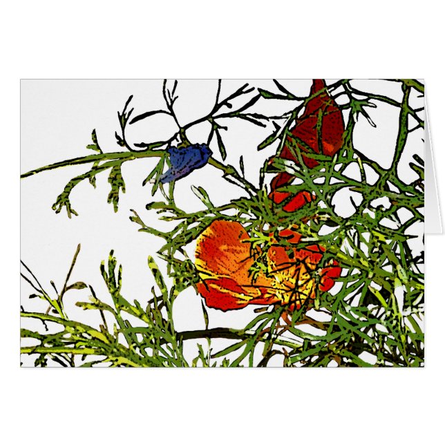 Kalifornien-Mohn abstrakt (Vorderseite (Horizontal))