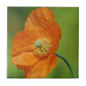 Kalifornien-Mohnblume Fliese (Vorderseite)