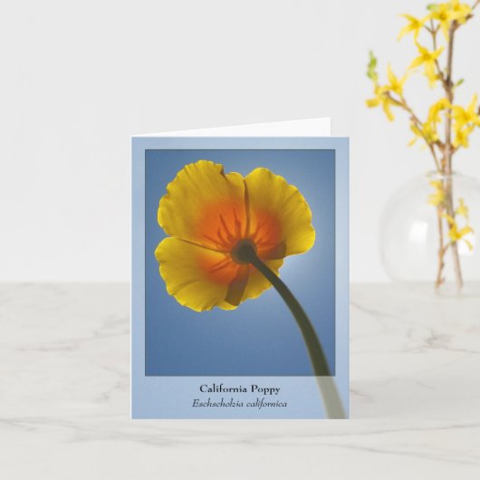 Kalifornien-Mohnblume - gebürtiges Notecard Karte (Gelbe Blume)