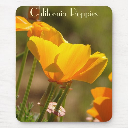Kalifornien-Mohnblumen-Blume Mousepad (Vorne)