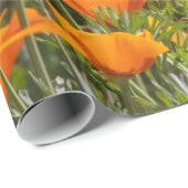 Kalifornien-Mohnblumen-Feld Geschenkpapier (Rolleneckpunkt)