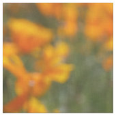 Kalifornien-Mohnblumen-Feld Stoff (Nahaufnahme)