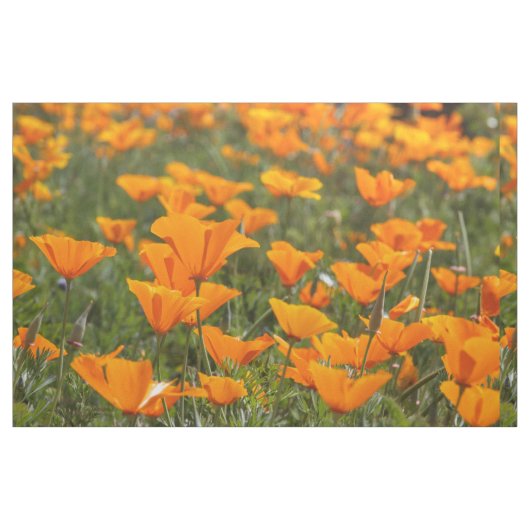 Kalifornien-Mohnblumen-Feld Stoff (Fat Quarter (45,7 x 55,9 cm))