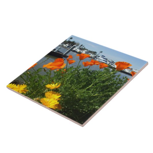 Kalifornien-Mohnblumen Fliese (Seite)