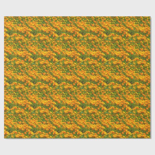 Kalifornien-Mohnblumen Geschenkpapier (Flach)
