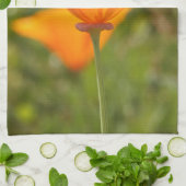Kalifornien-Mohnblumen-Geschirrtücher Handtuch (Gefaltet)