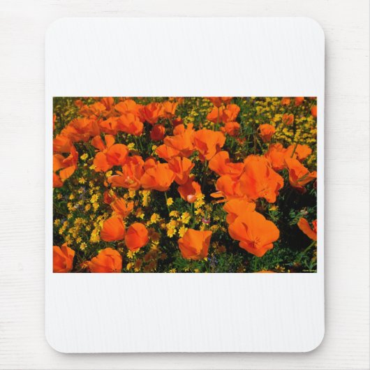Kalifornien-Mohnblumen Mousepad (Vorne)