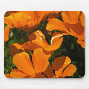 Kalifornien-Mohnblumen Mousepad