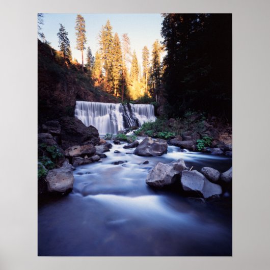 Kalifornien, Nationalwald Shasta-Trinity Poster (Vorne)