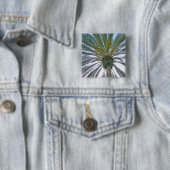 Kalifornien-Palme Button (Beispiel)