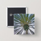 Kalifornien-Palme Button (Vorne & Hinten)