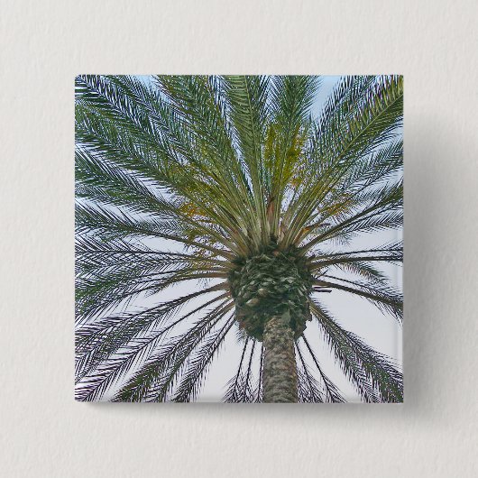 Kalifornien-Palme Button (Vorderseite)