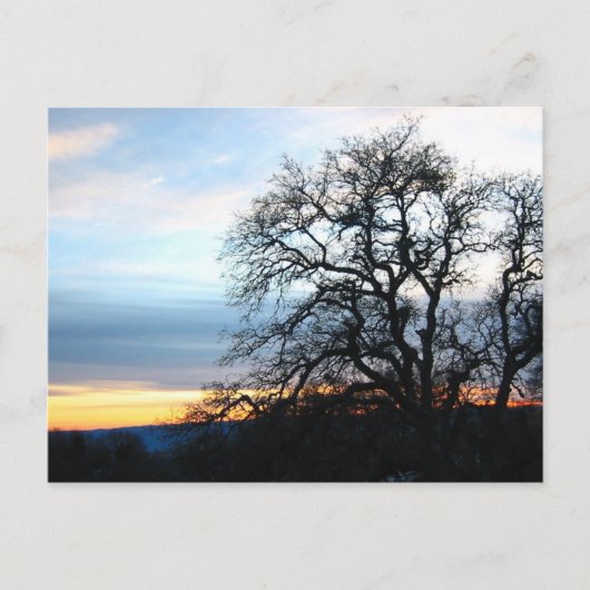 Kalifornien Postkarte (Vorderseite)