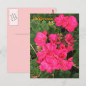 Kalifornien Postkarte (Vorne/Hinten)