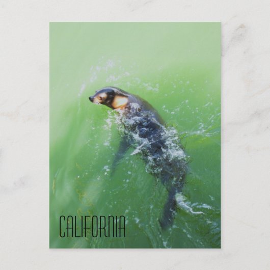 Kalifornien Postkarte (Vorderseite)