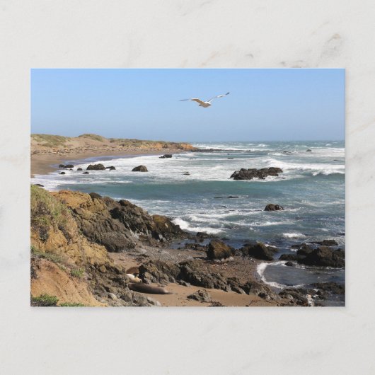 Kalifornien Postkarte (Vorderseite)