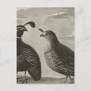 Kalifornien Postkarte