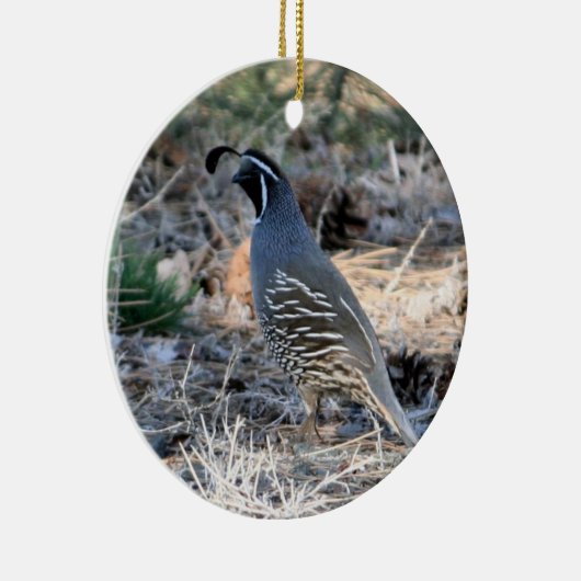 Kalifornien-Quai Keramikornament (Rechts)