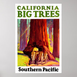 Kalifornien Reiseplakat Redwoods Kunst Südlich Poster