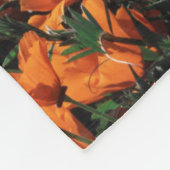 Kalifornien, Riesenküste, Kalifornien-Mohn Fleecedecke (Ecke)