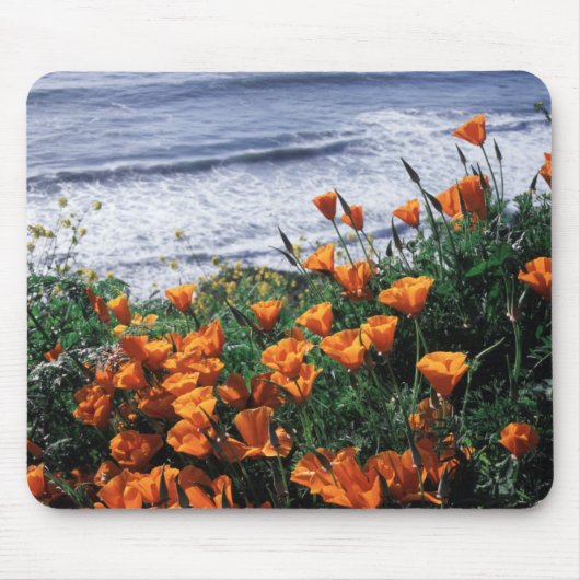 Kalifornien, Riesenküste, Kalifornien-Mohn Mousepad (Vorne)