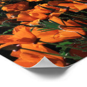 Kalifornien, Riesenküste, Kalifornien, Mohn Poster (Ecke)